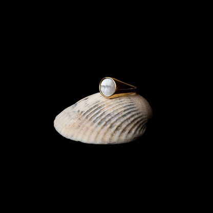 Anillo de Nácar