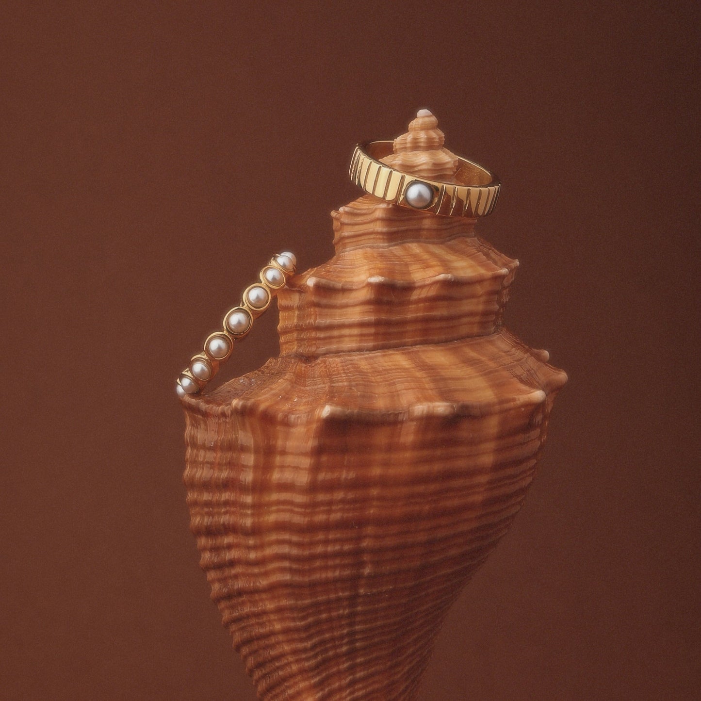 Anillo de la Paz