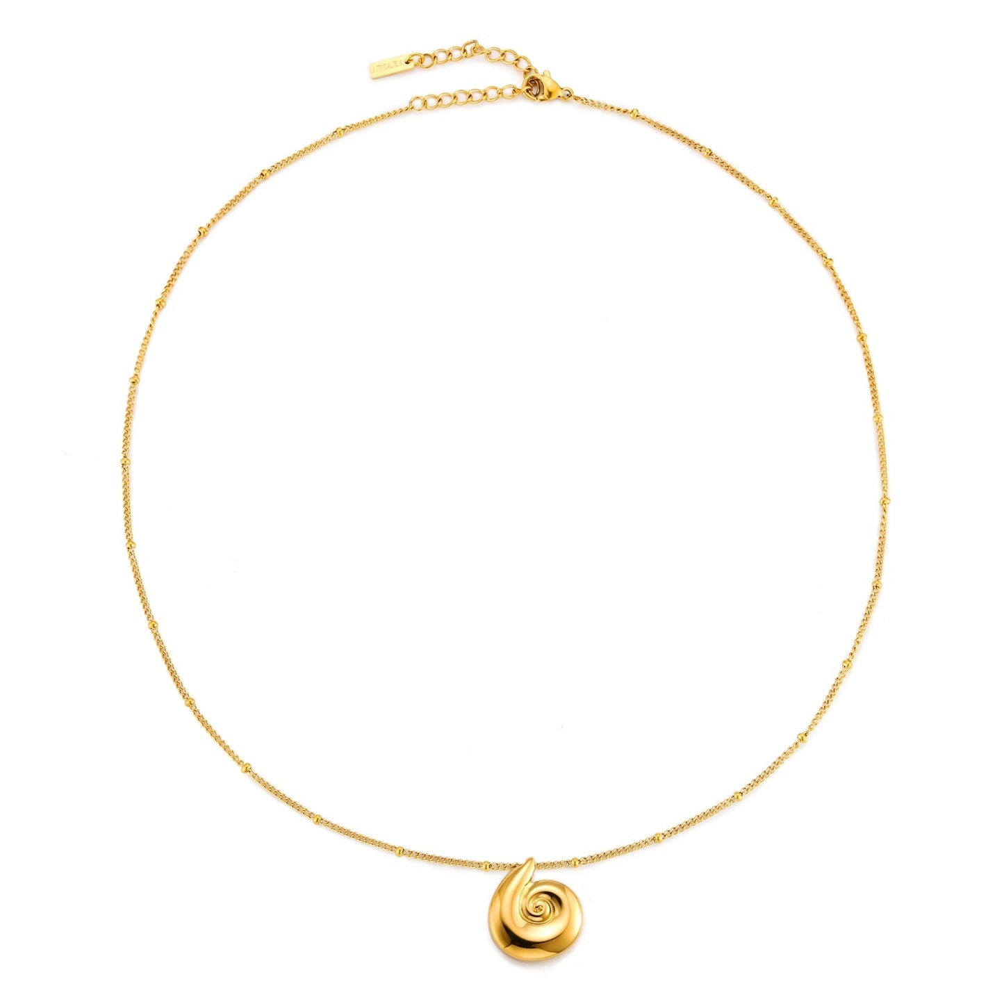 Collar de conchas